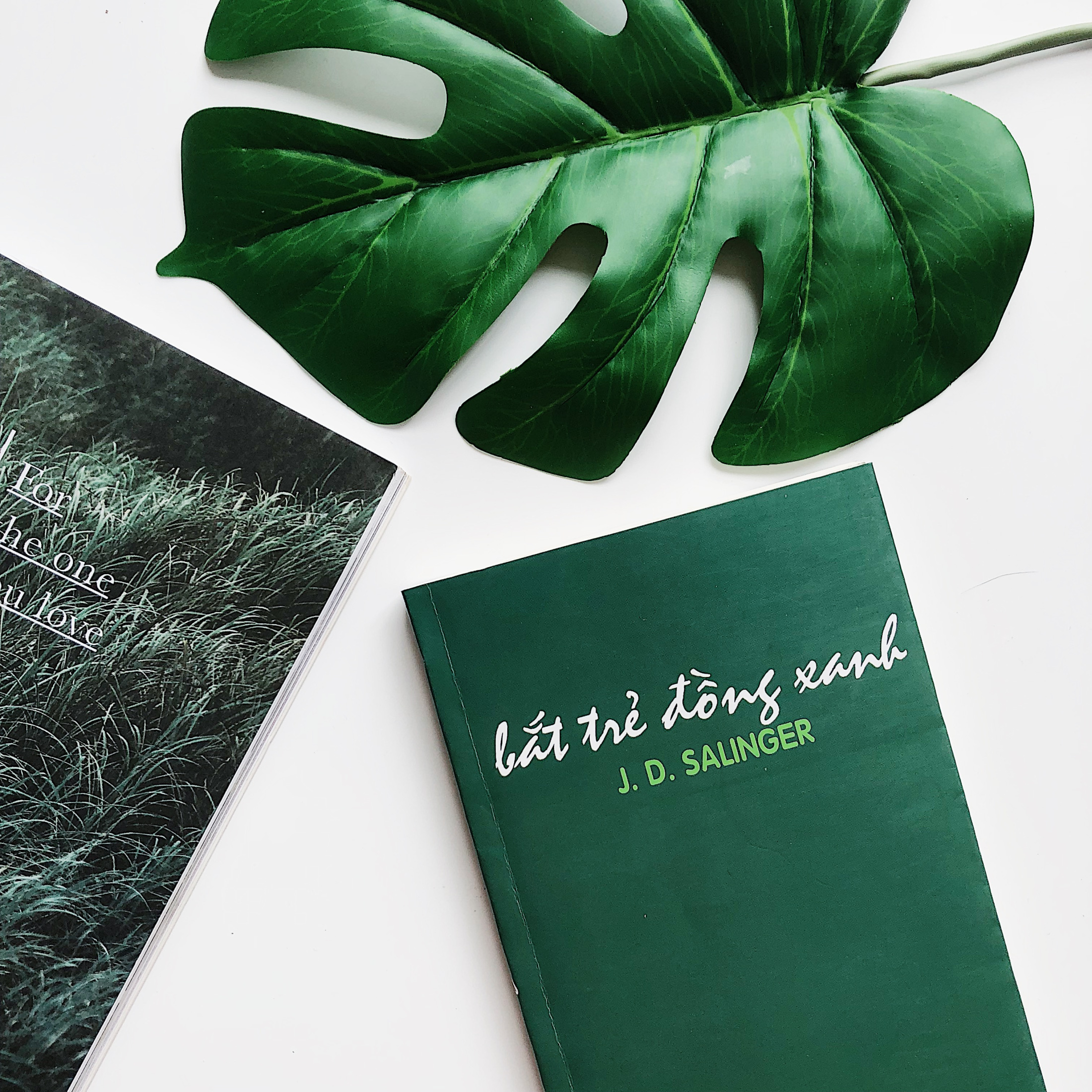 Review] Bắt trẻ đồng xanh, J. D. Salinger - Xứng đáng nằm trong những cuốn sách tôi yêu - Triết Học Đường Phố
