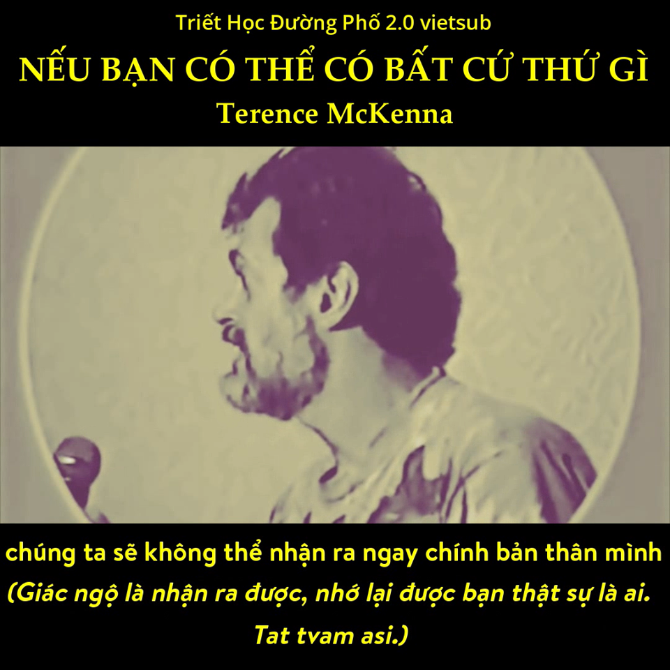 [THĐP Vietsub] Terence McKenna – Nếu bạn có thể có BẤT CỨ THỨ GÌ