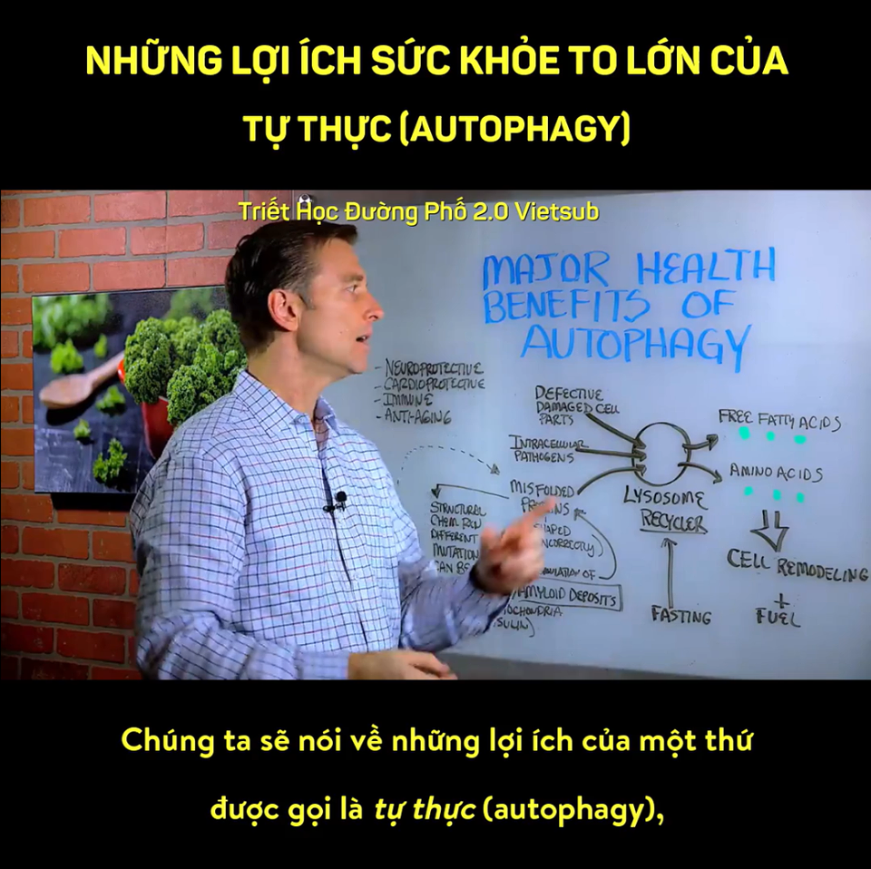 [THĐP Vietsub] Những lợi ích sức khỏe to lớn của “Tự Thực” (Autophagy) và “Nhịn ăn gián đoạn” (Intermittent Fasting)