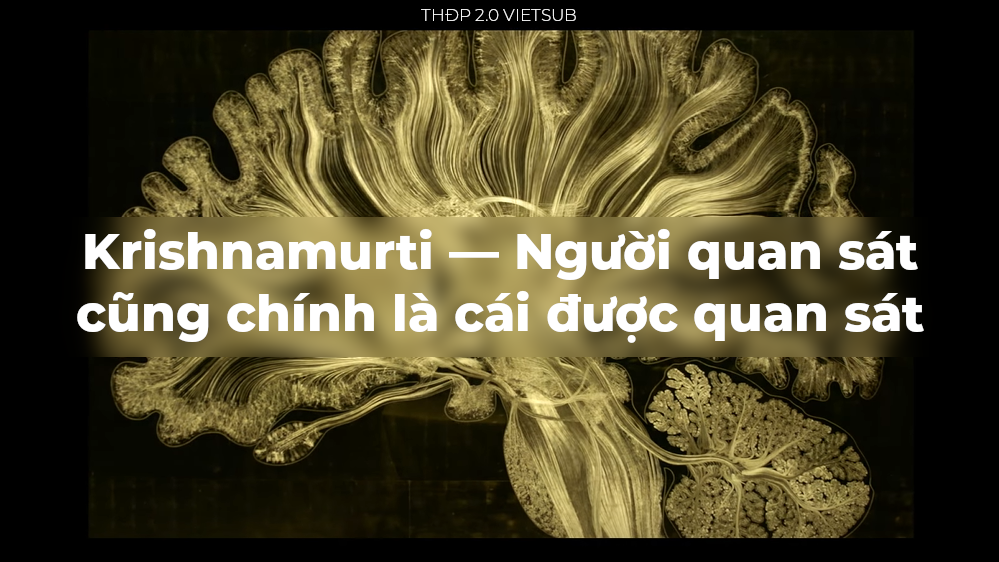 [THĐP Vietsub] Krishnamurti — Người quan sát cũng chính là cái được quan sát