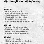 lưu tinh