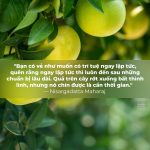 kiên nhẫn