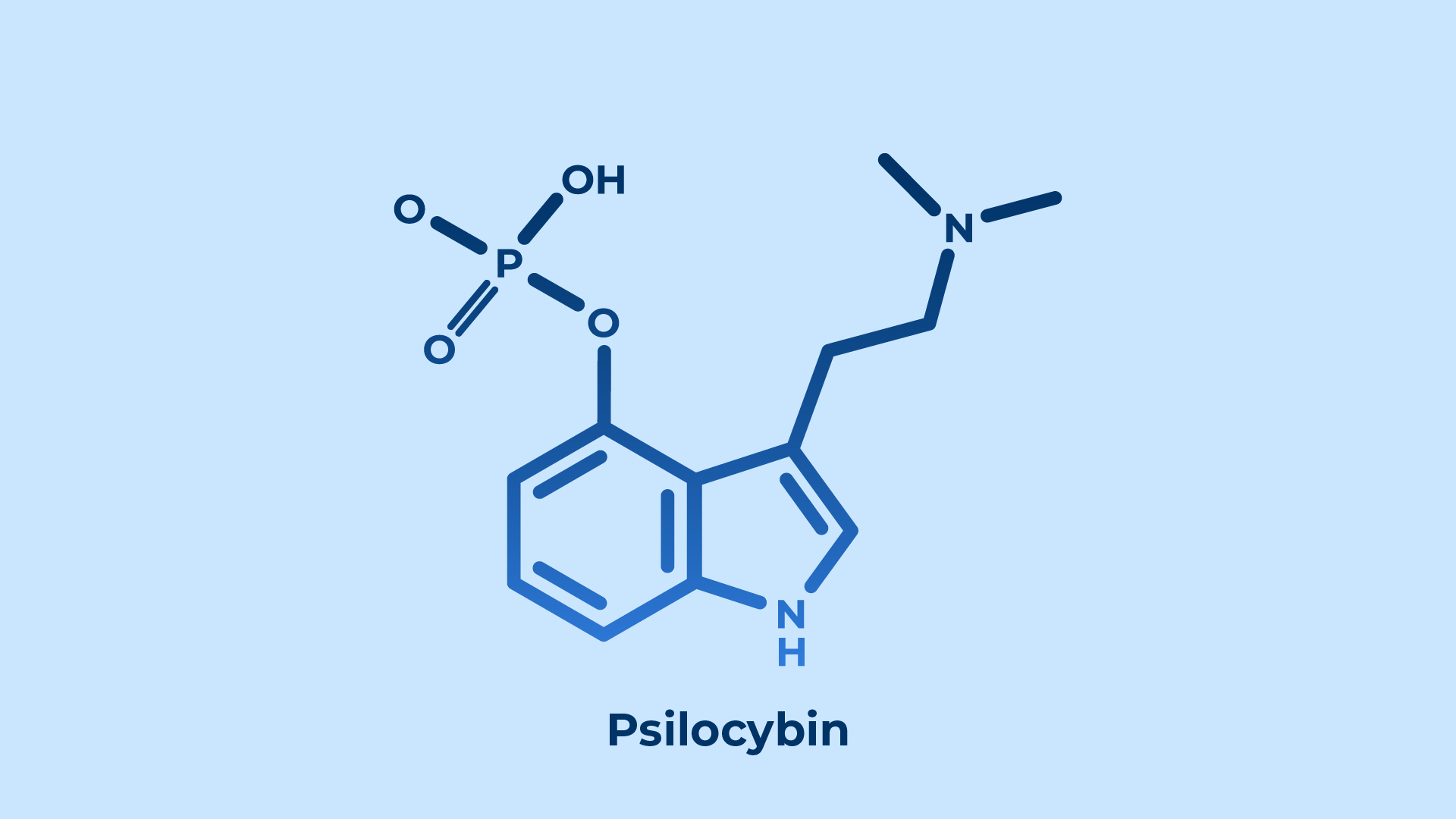 "nấm ma thuật" - psilocybin